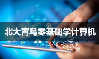 零基礎(chǔ)入門軟件開發(fā) 可能之路與學(xué)習指南
